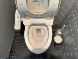 江戸川区トイレつまり！頻繁に詰まる原因解明！